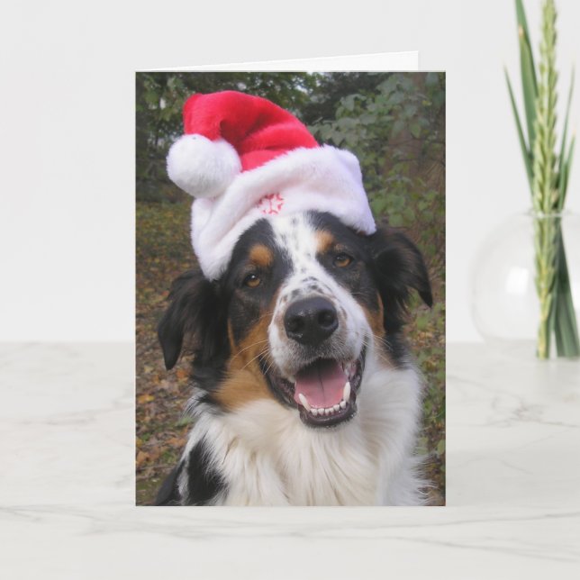 Tarjeta Festiva "Santa Paws" (Anverso)