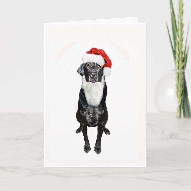 Tarjeta Festiva Santa Paws (Anverso)