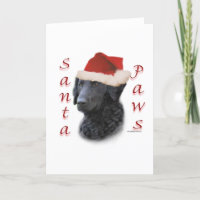 Santa Paws de recuperación con recubrimiento de cu