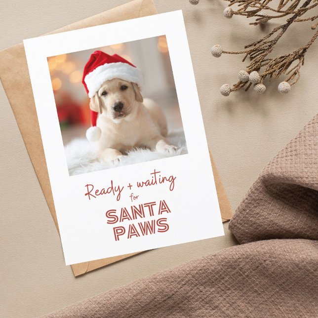 Tarjeta Festiva Santa Paws listos y esperando - Navidades amantes  (Subido por el creador)