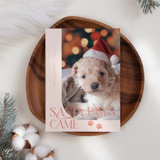 Tarjeta Festiva Santa Paws llegó con Navidades de fotos de perro (Subido por el creador)