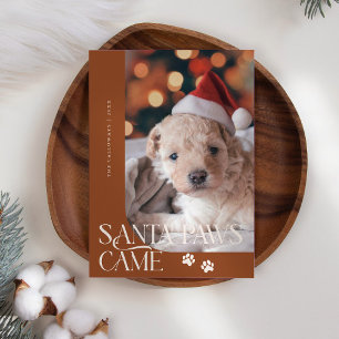 Tarjeta Festiva Santa Paws llegó con Navidades de Terracota.