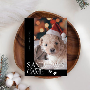 Tarjeta Festiva Santa Paws llegó con Navidades negros