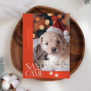 Tarjeta Festiva Santa Paws llegó con Navidades rojos