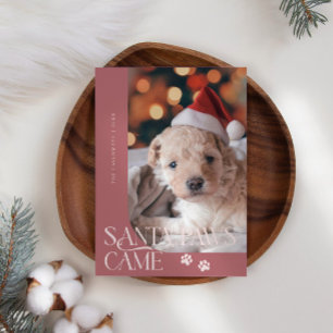 Tarjeta Festiva Santa Paws llegó con Navidades rosados