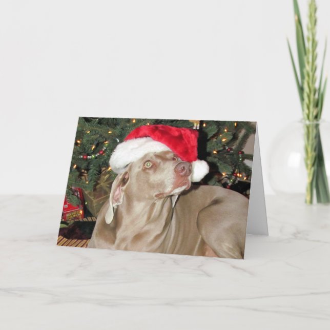 Tarjeta Festiva Santa Paws - Lluvia (alias Raina) (Anverso)