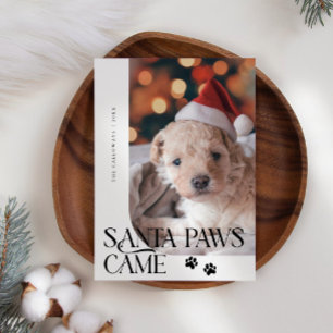 Tarjeta Festiva Santa Paws se convirtieron en perros. Foto de Navi