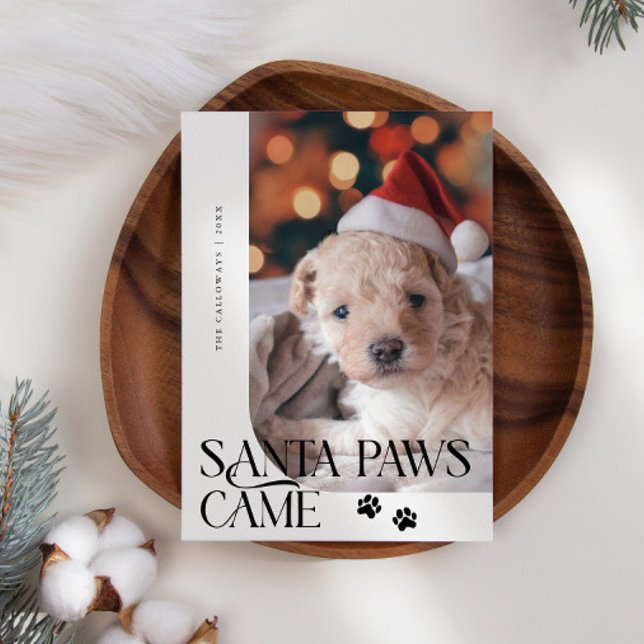Tarjeta Festiva Santa Paws se convirtieron en perros. Foto de Navi (Subido por el creador)