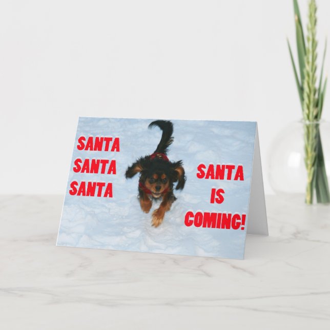 Tarjeta Festiva Santa, Santa Cavalier Rey Carlos Spaniel (Anverso)