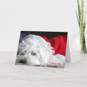 Tarjeta Festiva Santa soñoliento