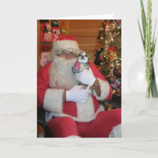 Tarjeta Festiva Santa y chihuahua