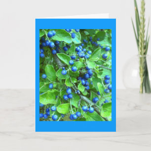 Tarjeta Festiva Sapphire Berries