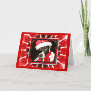 Tarjeta Festiva Sassy Santa Dog