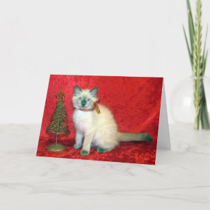 Tarjeta Festiva Savannah - Navidades balineses de gatos y gatitos