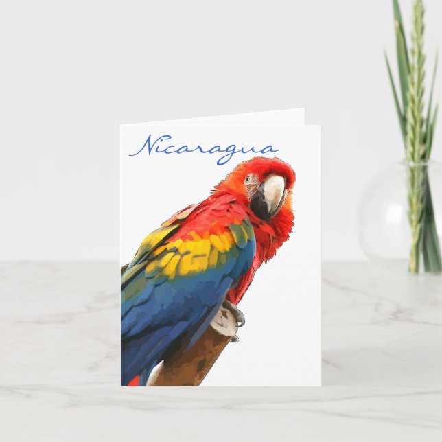 Tarjeta Festiva Scarlet Macaw Nicaragua Note Card (Anverso)