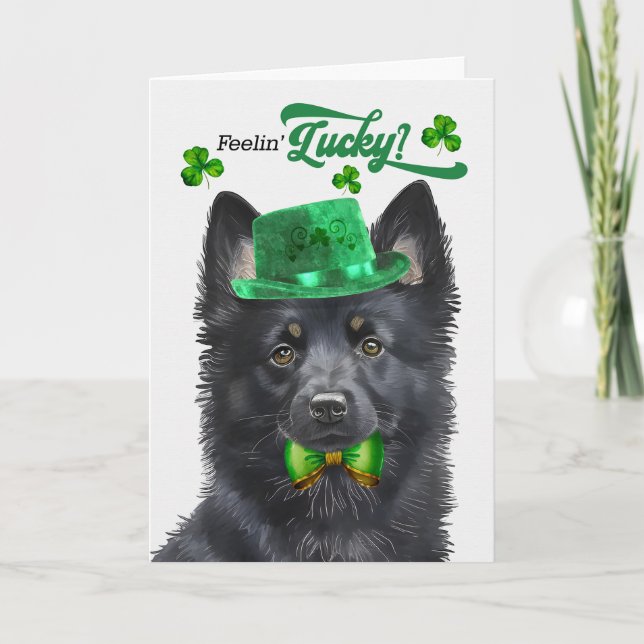 Tarjeta Festiva Schipperke Dog Feelin' afortunado Día de San Patri (Anverso)