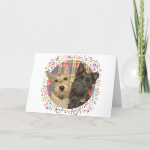 Tarjeta Festiva Scotties Trigueños y Negros sobre Tartán
