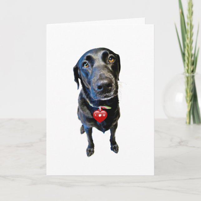 Tarjeta Festiva Sé mi Valentín (Anverso)