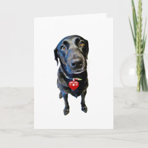 Tarjeta Festiva Sé mi Valentín