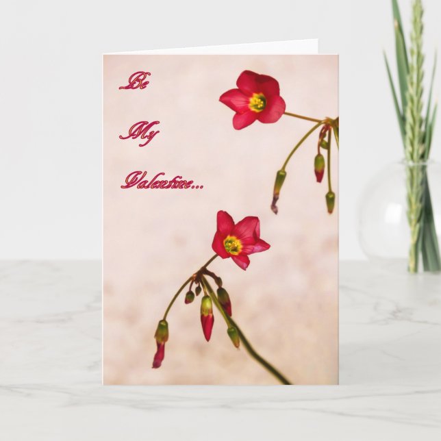 Tarjeta Festiva Sé mi Valentine (Anverso)