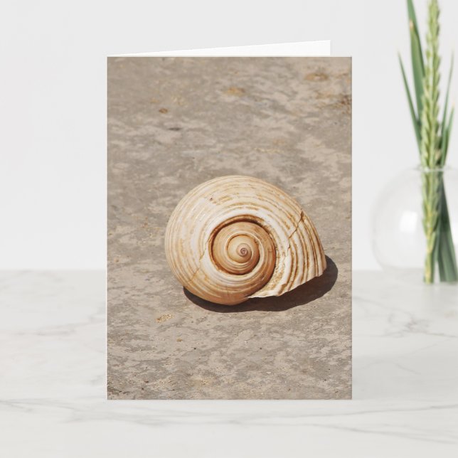 Tarjeta Festiva SeaShell (Anverso)