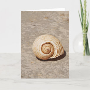 Tarjeta Festiva SeaShell