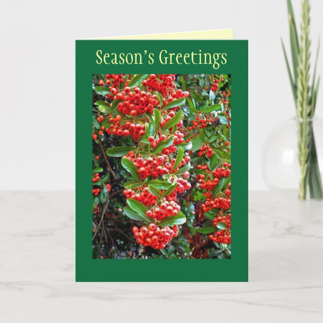 Tarjeta Festiva Season's Greetings Holiday Card w/ Red Berries (Anverso)