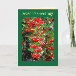 Tarjeta Festiva Season's Greetings Holiday Card w/ Red Berries
