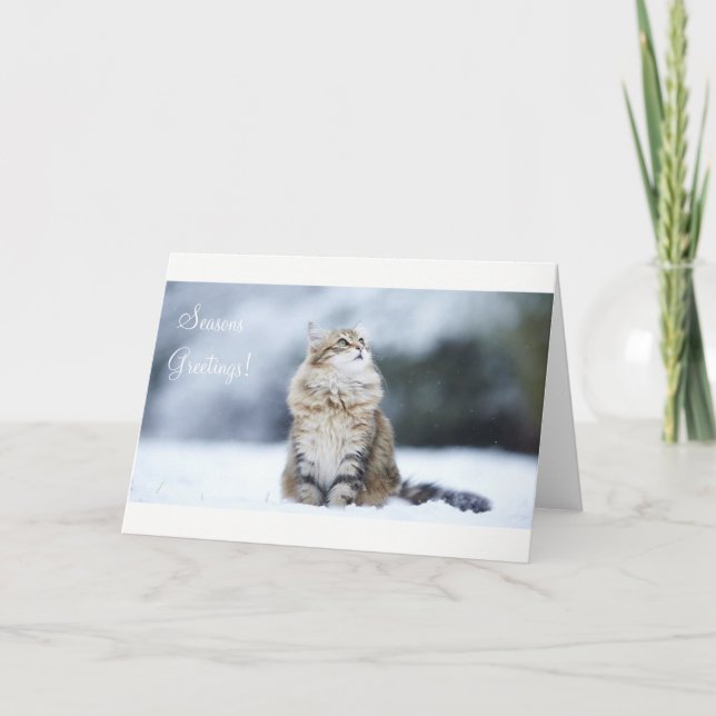 Tarjeta Festiva Seasons Greetings Navidades Card Cat (Anverso)