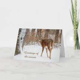 Tarjeta Festiva Seasons Greetings Navidades Whitetail Deer Card