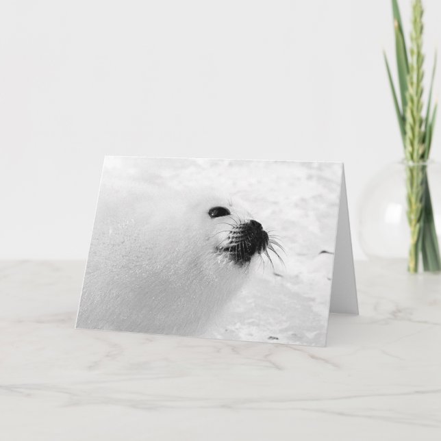 Tarjeta Festiva Sello blanco (Anverso)