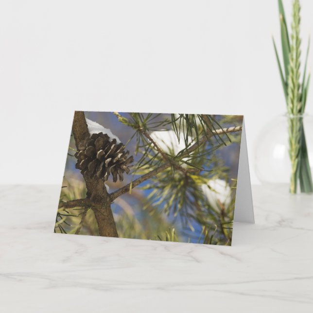 Tarjeta Festiva Semillas del árbol de hoja perenne (Anverso)