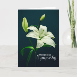 Tarjeta Festiva Sentida Simpatía Por Cualquier Hermosa Lirio Blanc