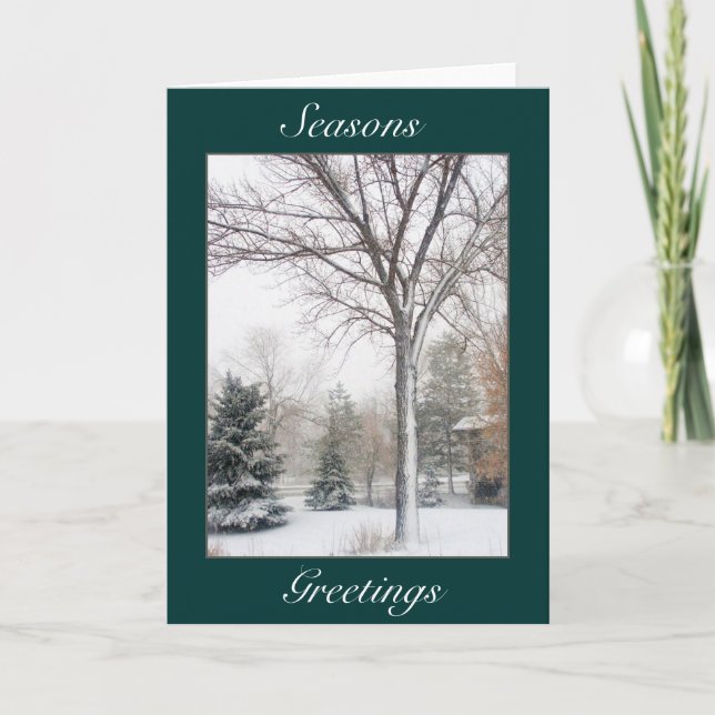 Tarjeta Festiva Serenidad en la ventisca (Anverso)