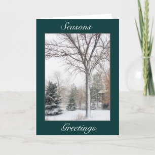 Tarjeta Festiva Serenidad en la ventisca