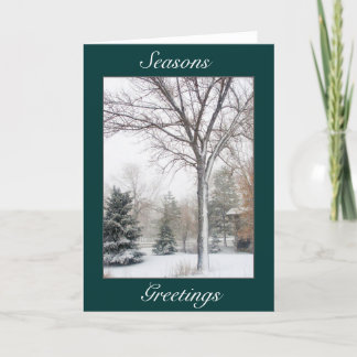 Tarjeta Festiva Serenidad en la ventisca