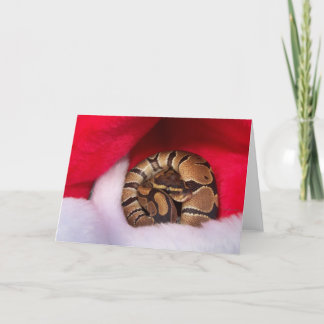 Tarjeta Festiva Serpiente acurrucada en Santa hat, pitón de bola