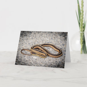 Tarjeta Festiva Serpiente de Cinta Oriental (Serpiente Garter)