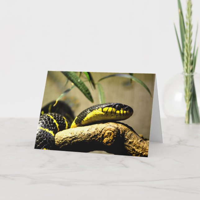Tarjeta Festiva Serpiente negra y amarilla (Anverso)