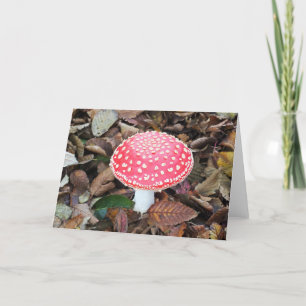 Tarjeta Festiva Seta roja Amanita muscaria