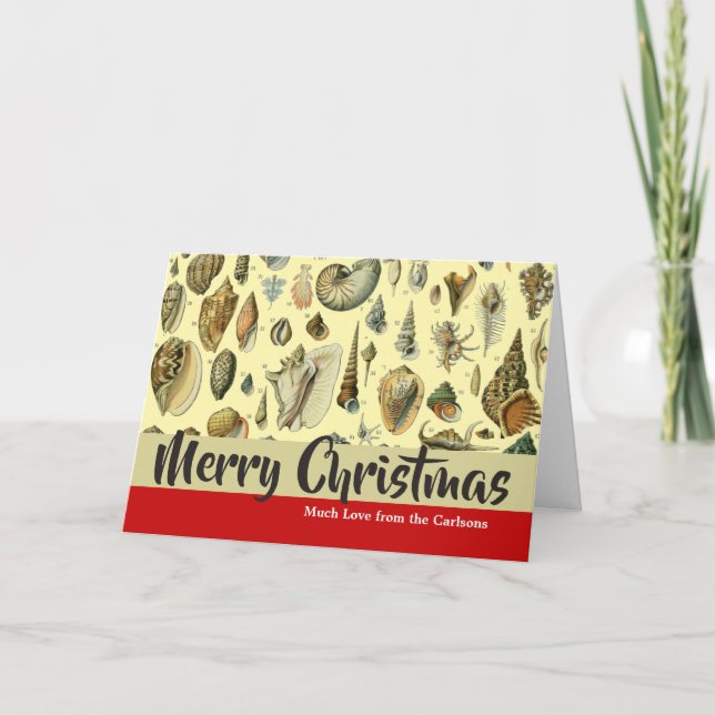 Tarjeta Festiva Shell de conchas marinas Mollusk Clam Elegante Art (Anverso)