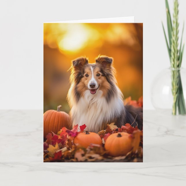 Tarjeta Festiva Sheltie Acción de Gracias (Anverso)