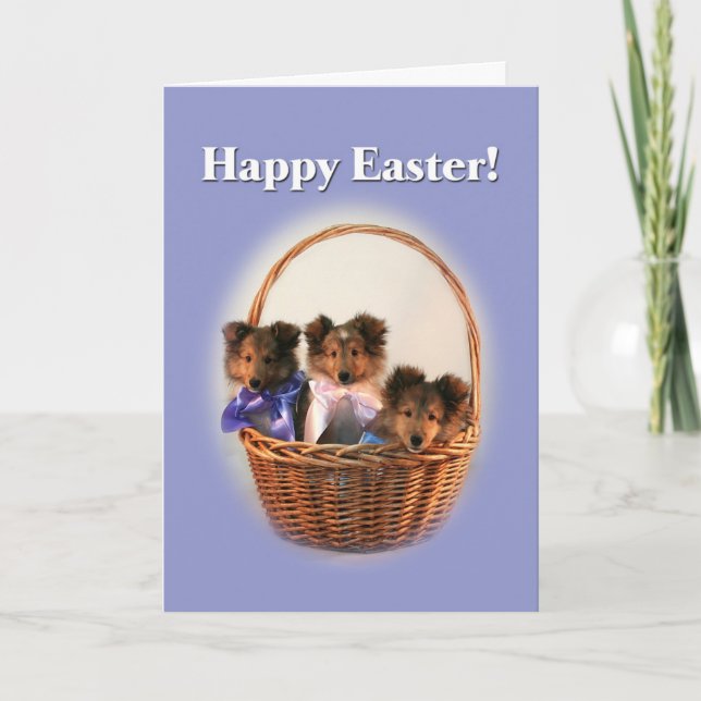 Tarjeta Festiva Sheltie Easter Basket (Anverso)
