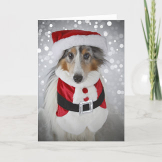 Tarjeta Festiva Sheltie Papá Noel