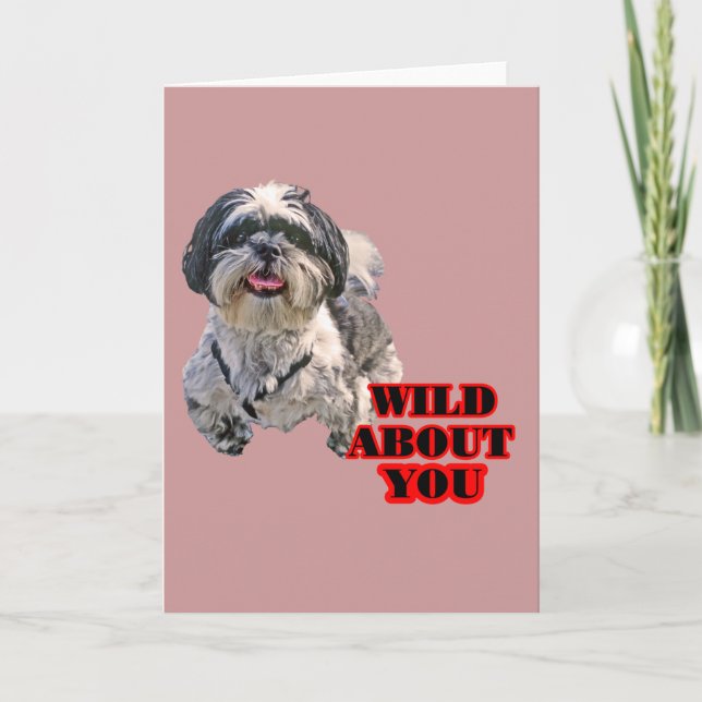 Tarjeta Festiva Shih Tzu (Anverso)