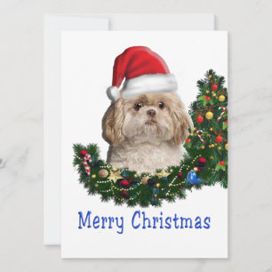 Tarjeta Festiva shih tzu