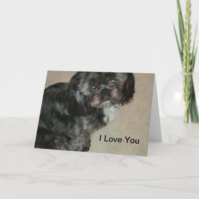 Tarjeta Festiva Shih Tzu I Love You Cards (Anverso)