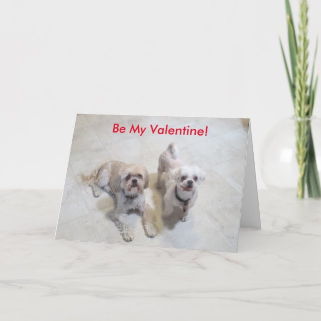 Tarjeta Festiva Shih Tzu Valentine (Anverso)