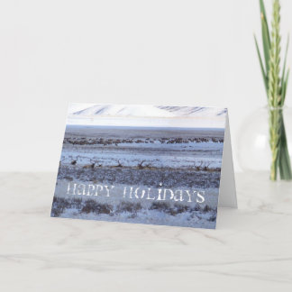 Tarjeta Festiva Shootin