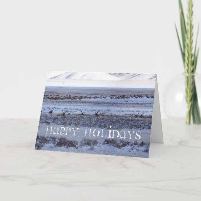 Tarjeta Festiva Shootin (Anverso)